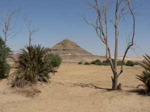 egypt-desert-560x420